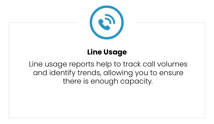 VirtualPBX Advanced Call Reports Feature - Phone Line Usage
