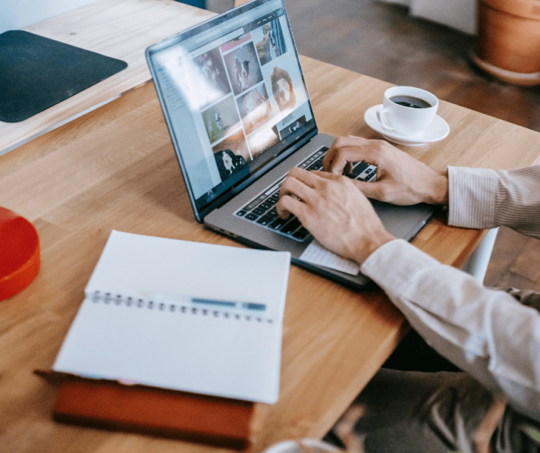 Guest Blog With Us
