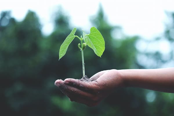 VirtualPBX Podcast: How To Grow & Optimize Your Business